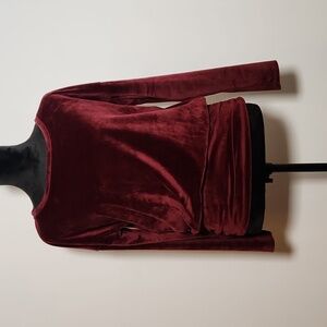 Anthropologie Plush Velvet Long-Sleeve Sweatshirt in Deep Burgundy